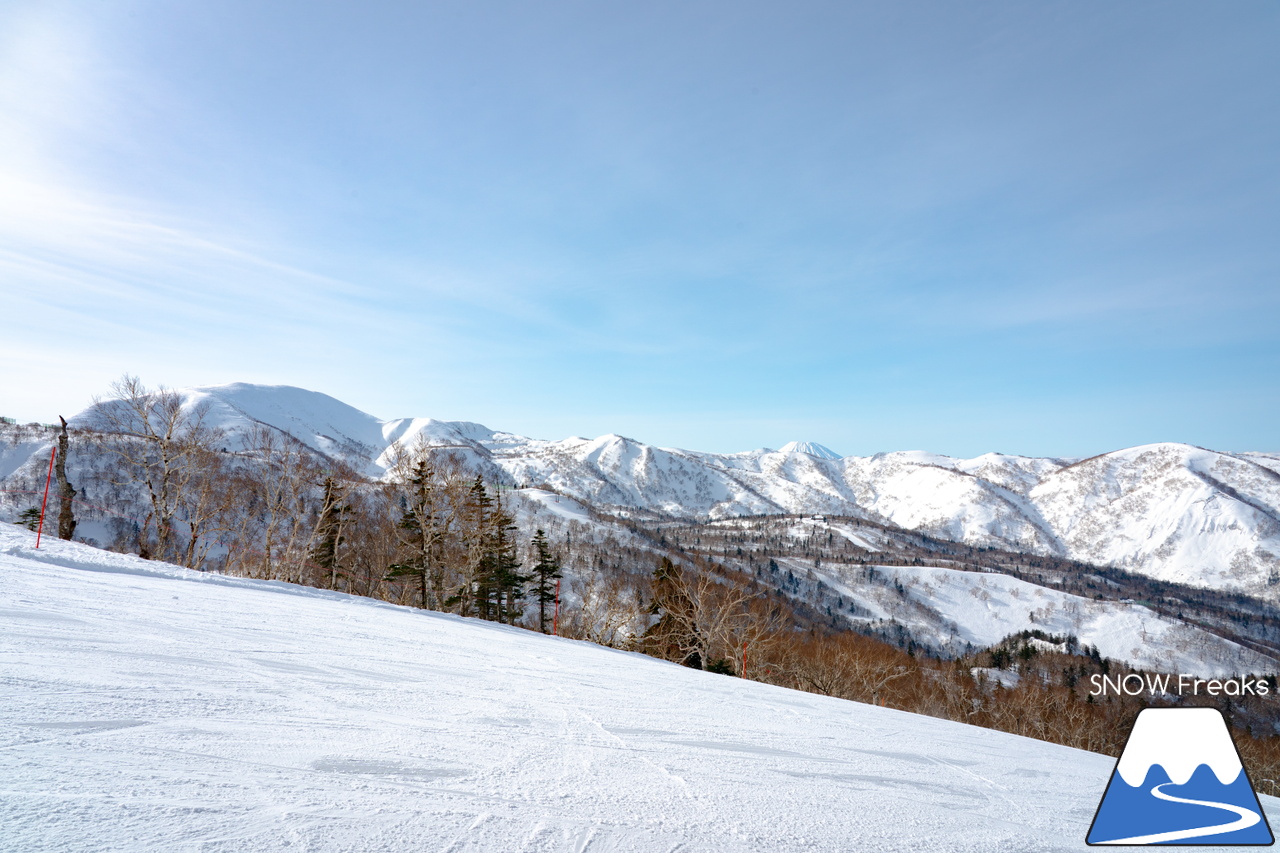 キロロリゾート｜今日の山頂積雪は「340cm」！ビシッと締まったロングコースで快適クルージングが楽しい１日♪